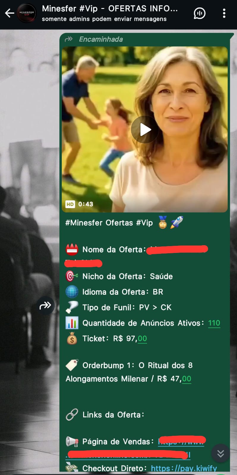 Exemplo de como as ofertas são enviadas no WhatsApp